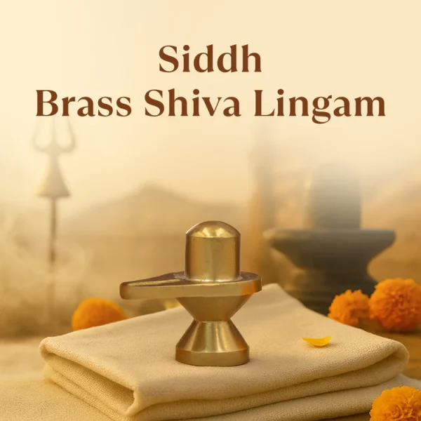 Kashi Siddh Brass Shiva Lingam