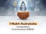1 Mukhi Rudraksh - Image 5
