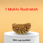 1 Mukhi Rudraksh