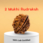 2 Mukhi Rudraksha