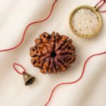 8 Mukhi Rudraksha - 18mm - 22mm - Image 8