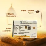 3 Mukhi Rudraksha - Image 5