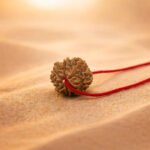 8 Mukhi Rudraksha - 18mm - 22mm - Image 5