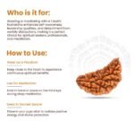 1 Mukhi Rudraksh - Image 8