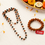 Divya Raksha Combo - Rudraksha karungali Mala with Free 7 Mukhi Rudraksha Bracelet