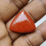 Triangular Moonga (Red Coral) - Image 2