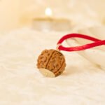 4 Mukhi Rudraksha - 18mm - 22mm - Image 5