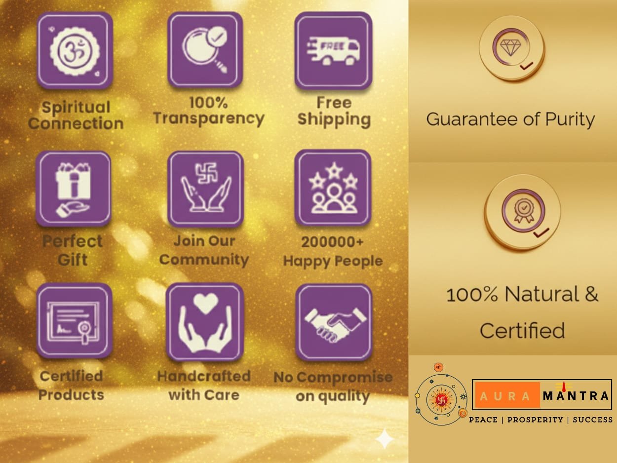 WhatsApp Image 2025-11-18 at 4.46.32 PM (1)