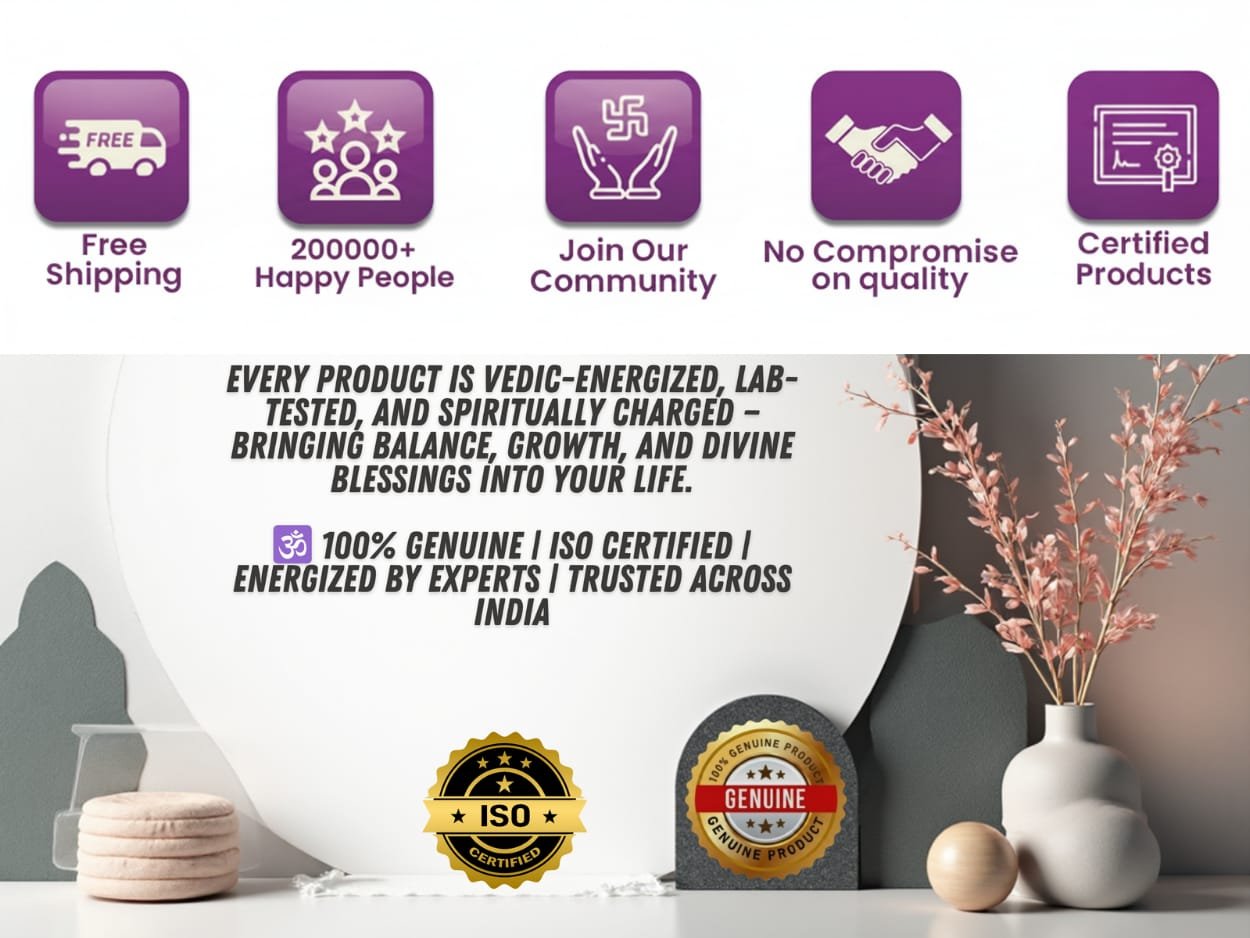 WhatsApp Image 2025-11-19 at 4.37.24 PM (1)