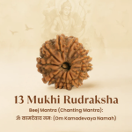 13 Mukhi Rudraksha Nepal Origin