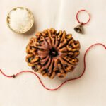 13 Mukhi Rudraksha Nepal Origin - Image 2