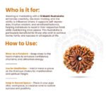 13 Mukhi Rudraksha Nepal Origin - Image 11