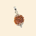 13 Mukhi Rudraksha Nepal Origin - Image 10