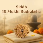 10 Mukhi Rudraksha Nepal Origin - Image 5
