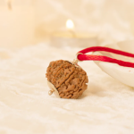 9 Mukhi Original Nepali Rudraksha - Image 2