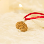 12 Mukhi Rudraksha Nepal Origin - Image 4