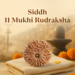 11 Mukhi Rudraksha Nepal Origin - Image 5