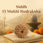 13 Mukhi Rudraksha Nepal Origin - Image 5