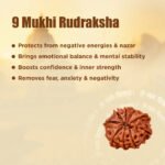 9 Mukhi Original Nepali Rudraksha - Image 13