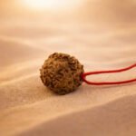 12 Mukhi Rudraksha Nepal Origin - Image 13