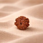 10 Mukhi Rudraksha Nepal Origin - Image 5