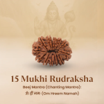 Nepal Origin 15 Mukhi Rudraksha - 17mm to 22mm - Image 3
