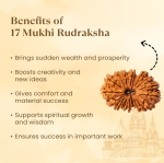 Nepal Origin 17 Mukhi Rudraksha - 17mm to 22mm 3 reviews Sharpens Focus Attracts Oppor - Image 2