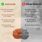 20 Mukhi Rudraksha - 17mm to 22mm - Image 4