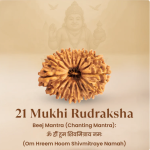 21 Mukhi Rudraksha - 17mm to 22mm - Image 3
