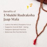 5 Mukhi Rudraksha Mala - 7mm, 108+1 beads - Image 9