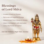 5 Mukhi Rudraksha Mala - 7mm, 108+1 beads - Image 7