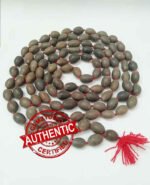 Kamal Gatta MalaLotus Seed Jaap Mala 108 Beads (Kamal Gatta) - Image 11